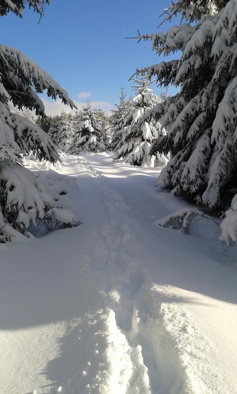 La Grange Du Bout Du Chemin Villa Houffalize Exteriör bild